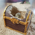 National Geographic  Mini trousse d’excavation de trésor-Chaque excavation est une surprise !