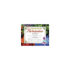 Certificat de participation Hayes, 8 1/2 "x 11" Grades Kindergarten - 9th, 90 Pack-Compatible imprimante jet d'encre ou laser