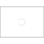 Motex – Étiquettes vierges 6600, 7/8 po x 10/16 po, blanc, paq./10 000 (38-1260)-Étiquette de pistolet étiqueteur
