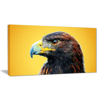 Designart – Imprimé sur toile, jaune, aigle royal, 5 panneaux, (PT2312-32-16)-Impression