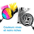 Cartouche d'encre d'origine HP 67XL noir-Économisez jusqu'à 25 % grâce à l'encre HP à rendement élevé