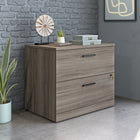 Sauder - La Collection Affirm Classeur latéral - Finition Hudson Elm-Plateau durable de 1 po. d'épaisseur pour présenter des photos, des livres, etc.