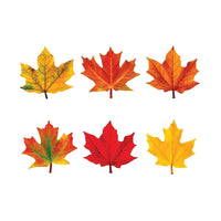 Trend Enterprises 3" DieCut Maple Leaves Mini Accents-Les feuilles d'érable photographiques sont prédécoupées et prêtes à être utilisées pour des expositions et pour mettre en valeur le travail des élèves.