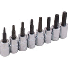 Gray ToolsMD – Jeu de tête de douilles Torx de 3/8 po, 8 pièces, T15-T50-Tailles incluses : T15, T20, T25, T27, T30, T40, T45, T50.