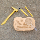 Educational Insights - Kit d'excavation de fossiles GeoSafari® Jr.-6