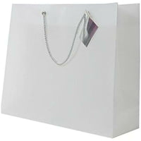Jam Paper - Sacs à provisions opaques - Grands - 13 po x 10 1/2 po x 4 po - Transparent - Paquet de 100-Sac à provisions transparent opaque
