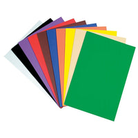 Chenille Craft - Grandes feuilles, couleurs variées, 20/paquet (CK-4313)-Type : Grandes feuilles