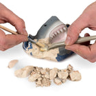National Geographic Kit de Fouille de Dent de Requin -4