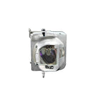 Optoma - Lampe 190W pour HD28DSE-La lampe BL-FP210B a une durée de vie nominale de 4 000 heures (8 000 heures en mode Eco), Cette lampe a une luminosité et une durée de vie supérieures à celles des autres lampes de remplacement génériques moins chères vendues ailleurs,