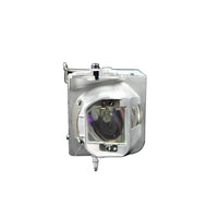 Optoma - Lampe 190W pour HD28DSE-La lampe BL-FP210B a une durée de vie nominale de 4 000 heures (8 000 heures en mode Eco), Cette lampe a une luminosité et une durée de vie supérieures à celles des autres lampes de remplacement génériques moins chères vendues ailleurs,