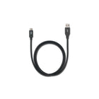 iStore Cable a USB-C to USB A 3.1-Compatible avec les appareils USB-C