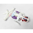Dissect It - Grenouille-Recharge gratuite