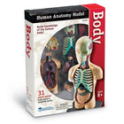 Modèle anatomie corps humain Learning ResourcesMD-Offre des instructions illustrées pour que les élèves assemblent les 31 pièces réalistes et les manipulent pour comprendre comment les organes interagissent