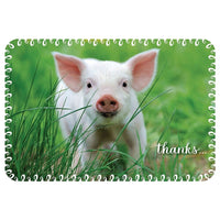 Millbrook Studios – Cartes de souhaits et enveloppes, Thanks, 5 3/8 x 7 3/4 po, 18/paquet (06819)-Imprimé sur du papier cartonné non couché