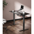 Ezywork - Bureau assis-debout électrique - 48" x 24" - Noir-Taille du bureau : 47,3 l x 23,6 P po (120 cm x 60 cm)