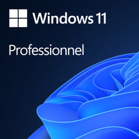Microsoft - Système d'exploitation Windows 11 Pro 64 bits - Téléchargements - Bilingue-Une adresse e-mail valide doit être fournie lors du paiement