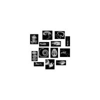 Rayons X pour animaux Roylco, 13/paquet-De vraies radiographies imprimées sur du plastique transparent et résistant. Parfait pour une utilisation sur des tables lumineuses. Étudiez la différence entre les mammifères, les reptiles, les poissons, les amphibiens et les oiseaux. En savoir plus sur chaque animal présenté et le processus de radiologie. Comprend un guide d'idées.
