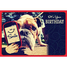 Millbrook Studios – Cartes de souhaits et enveloppes « It’s Your Birthday » 5 3/8 x 7 3/4 po, 18/paquet (06215)-Imprimées sur du papier cartonné non couché