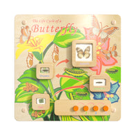 Flash Furniture - Tableau d'activites STEAM Bright Beginnings de qualite commerciale avec finition naturelle,accents multicolore-Tableau d'accessoires contemporain de qualite commerciale pour apprendre le cycle de vie du papillon, systeme mural STEAM