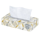 Kleenex - Mouchoirs Professional - 2 épaisseurs - Boîtes de mouchoirs plates pour les entreprises - boîte pratique - Blancs - Paquet de 12-2 épaisseurs