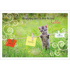 Aline Greetings – Carte de pensées générale, chaton, dropping you a line to say hello, paq./18-Papier non couché de qualité supérieure