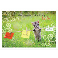Aline Greetings – Carte de pensées générale, chaton, dropping you a line to say hello, paq./18-Papier non couché de qualité supérieure
