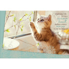 Aline Greetings – Carte d'anniversaire générale, chaton, Viewing life with a curious heart, paq./18-Papier non couché de qualité supérieure