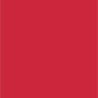 Jam Paper - Étiquettes Cadeaux avec Cordon - Mini - 2 3/4 po x 1 3/8 po - Rouge - 100 Pack-Quantité : 100 étiquettes cadeaux par paquet