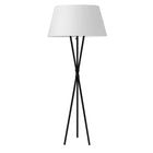 Dainolite - Lampe sur pied à incandescence transitionnelle Gabriela, 1 lumière, noir mat avec abat-jour blanc-Noir