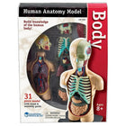 Modèle anatomie corps humain Learning ResourcesMD-Groupe d’âge et niveau : Enfants de 8 à 11 ans, à partir de la 3e année