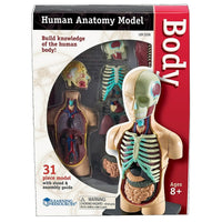 Modèle anatomie corps humain Learning ResourcesMD-Groupe d’âge et niveau : Enfants de 8 à 11 ans, à partir de la 3e année