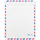 JAM Paper - Enveloppes Tyvek indéchirables pour catalogue à extrémité ouverte - 9" x 12" - Poste aérienne blanche - Paquet de 10-Quantité : 10 enveloppes par paquet