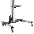 StarTech Chariot TV pour écran de 32 po à 70 po, réglage de la hauteur sans effort (STNDMTV70)-Le téléviseur s'incline de +5° à -12° pour s'adapter à l'angle de visualisation optimal