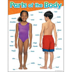 TREND companies, Inc. Tableau d'apprentissage des parties du corps, 17" x 22"-Chart répertorie les parties du corps de la tête aux pieds, les localise sur des photographies d'enfants vêtus.