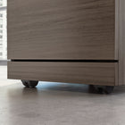 Sauder - La Collection Affirm Caisson mobile à 2 tiroirs - Finition Hudson Elm-15,551 po L x 19,449 po L x 28,425 po H