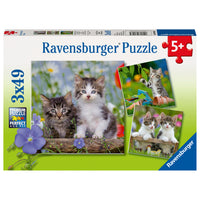 RAVENSBURGER - Chatons tigres-Puzzle