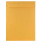 JAM Paper Enveloppes à ouverture au sommet pour catalogue, 9 x 12 po, papier kraft brun, 100/paquet (4132)-9 x 12 po