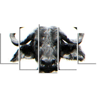 Designart – Stare of the Bull, impression sur toile, 5 panneaux (PT2309-373)-Impression