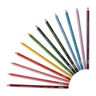 Prismacolor - Crayons de couleur Premier mines tendres - trousse Jardin botanique - Paquet de 12-Belle gamme de couleurs sélectionnées pour donner vie aux fleurs et aux arbres luxuriants