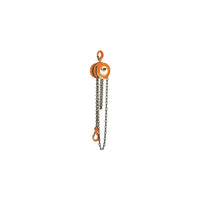 CM Industries – Palans à chaîne manuelle, 10 pi, 4000 lb (2 tonnes) (2258)-Capacité : 4000 lb (2 tonnes)