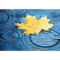 Millbrook Studios – Cartes de souhaits et enveloppes, Sorry To Hear, 5 3/8 x 7 3/4 po, 18/paquet (06760)-Imprimé sur du papier cartonné non couché
