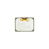 Papier pour bordure Hayes 11" x 8,5", beige/vert, paquet de 90-Créez vos propres récompenses et certificats en utilisant nos nouvelles bordures de certificat