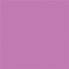 North American Paper Inc. - Papier de bricolage, rose, 12 po x 18 po, 48 feuilles-18 po x 12 po (portrait)