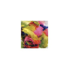Chenille Kraft - Plumes à teintes vives, 325/pqt (CK-4502)-Type : Plume