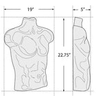 Azar Displays – Buste mâle pour panneau perforé/à lattes, 2/paquet (900518-WHT)-Blanc