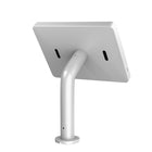 CTA Digital Paragon Curved Neck Boitier pour iPad 10,2" Gen 5 - 7, Air Gen 1 - 3, 9,7", 10,5" et 11" Pro - Blanc-Galaxy TabA 9.7', Galaxy TabS2 9.7 po,Galaxy TabS3 9.7 po, Galaxy Tab3 10.1 po,Galaxy Tab4 10.1 po, Galaxy TabA 10.1 po, Lenovo Tab4, Surface Go, Galaxy TabS5E