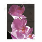 Fellowes - Pochettes de plastification ImageLast, lettre, 3 mil, paq./50 (52225)-Format lettre, pour la plastification thermique