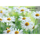 Millbrook Studios – Cartes de souhaits et enveloppes, Happy Birthday To You, 5 3/8 x 7 3/4 po, 18/paquet (06240)-Imprimées sur du papier cartonné non couché