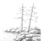Staedtler - Crayons Graphite Intégral Mars Lumograph - 6 Pièces-Créez des ombres profondes et veloutées, des paysages aquatiques translucides et doux et des dessins aux contrastes vifs