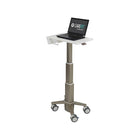 Chariot fin pour ordinateur portable Ergotron C50-1100-0 CareFit-Extérieur durable et facile à nettoyer composé d'aluminium, de plastique de haute qualité et d'acier zingué